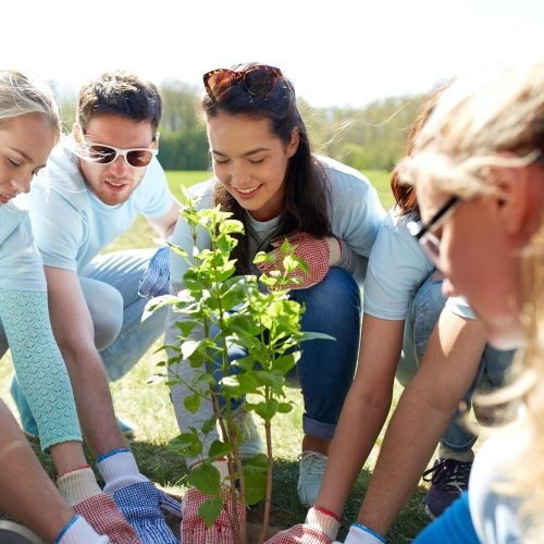 group-of-volunteers-planting-tree-in-park.jpg